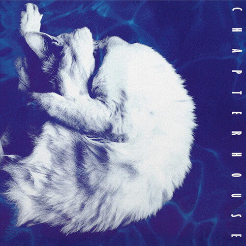 Chapterhouse/Whirlpool (White / Black Vinyl) [LP]