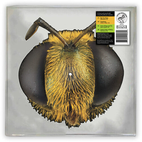King Gizzard & The Lizard Wizard/Big Fig Wasp (Bee Shaped Picture Disc) [LP]