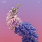 Flume/Skin (Pink Vinyl) [LP]