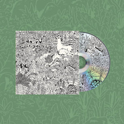 Of Montreal "Aethermead" CD
