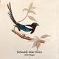 PRE-ORDER: Inflatable Dead Horse "Hello Magpie" LP