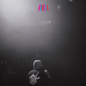 Crimeapple/El Cantante [LP]