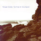 Polygon Window/Surfing On Sine Waves (Expanded Edition) [LP]