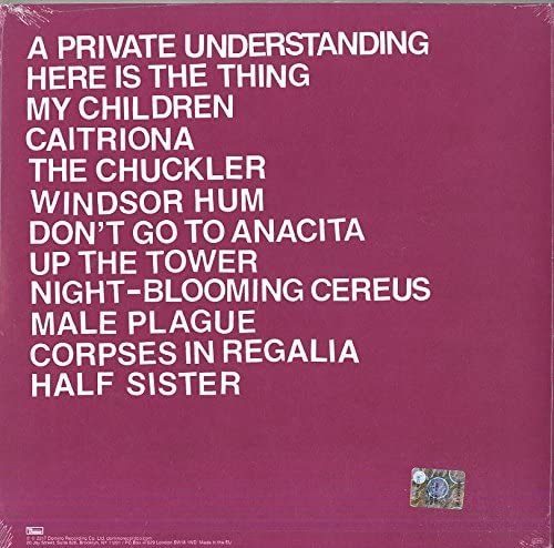 Protomartyr/Relatives In Descent [LP]