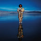 Washington, Kamasi/Heaven And Earth (5LP) [LP]