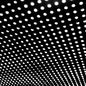 Beach House/Bloom [LP]
