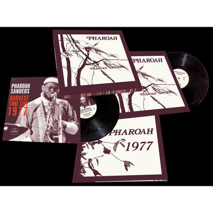 Pharoah Sanders - Pharoah - LP
