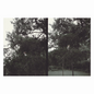 Lee, Okkyung/Just Like Any Other Day [LP]