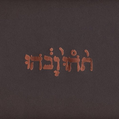 Godspeed You! Black Emperor!/Slow Riot For New Zero Kanada EP [LP]