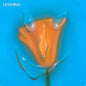 Moaning/Uneasy Laughter (Indie Clear w/blue and orange) [LP]