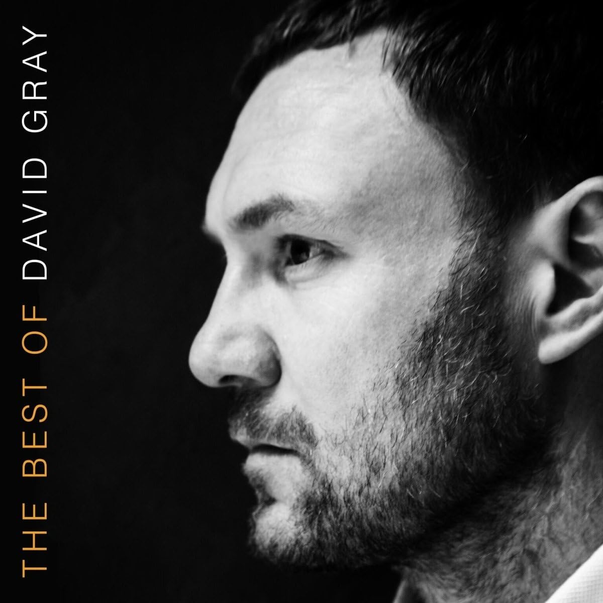 Gray, David/The Best Of (Black Vinyl) [LP]