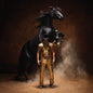 Peck, Orville/Bronco [LP]