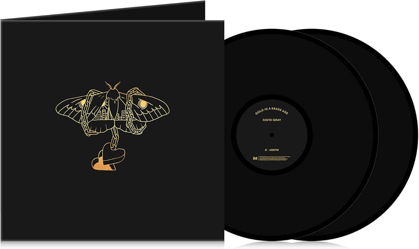 Gray, David/Gold In A Brass Age [LP]