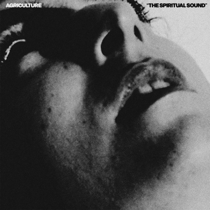 Agriculture "The Spiritual Sound" LP