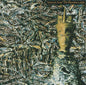 Siouxsie & The Banshees/JuJu [LP]