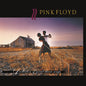 Pink Floyd/A Collection Of Great Dance Songs [LP]