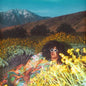 Howard, Brittany/What Now [LP]