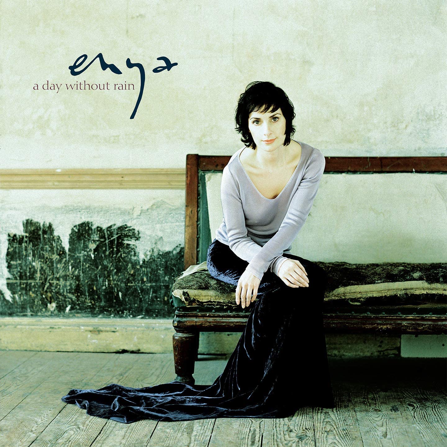 Enya/A Day Without Rain [LP]