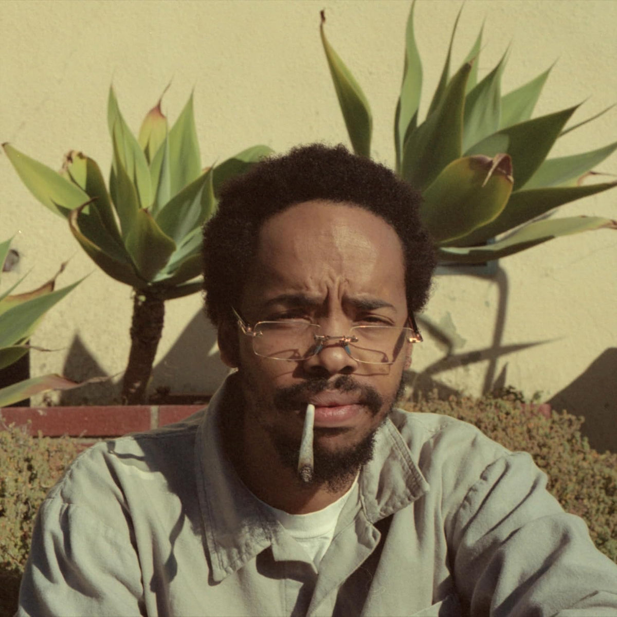 Earl Sweatshirt/Live Laugh Love [LP]
