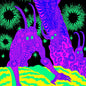 Osees/Abomination Revealed At Last (Coloured Vinyl) [LP]