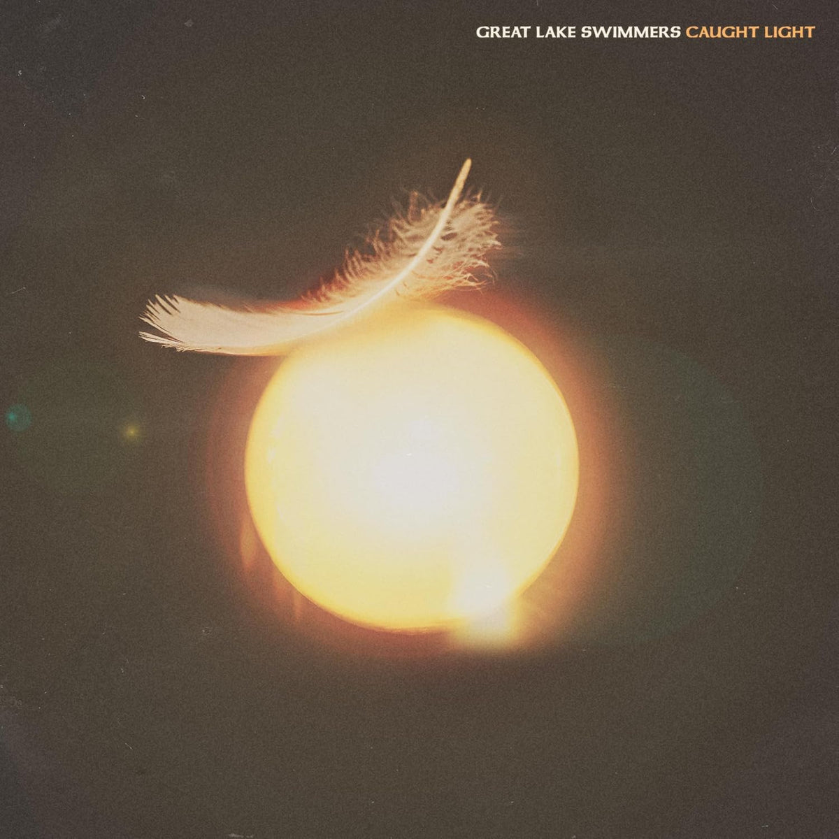 Great Lake Swimmers/Caught Light [LP]