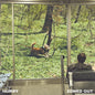 PRE-ORDER: Hurry "Zoned Out" LP (Olive Green & "Beer" Color Vinyl)