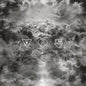 Neighbourhood, The/The Neighbourhood,  I Love You [LP]