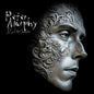 Murphy, Peter/Silver Shade [LP]