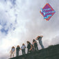 Lynyrd Skynyrd/Nuthin' Fancy [LP]