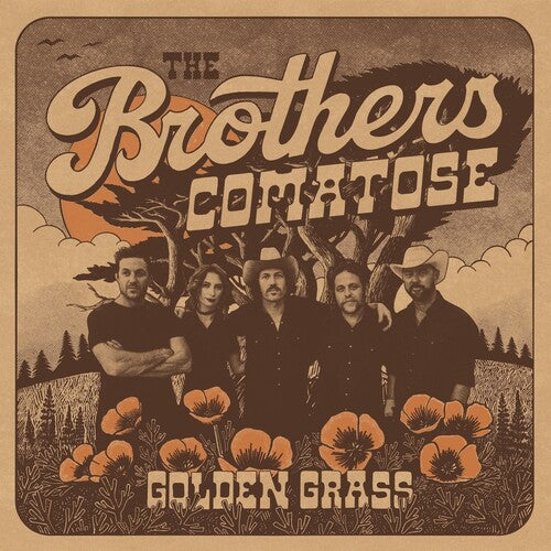 Used CD: The Brothers Comatose "Golden Grass" CD