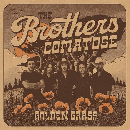 Used CD: The Brothers Comatose "Golden Grass" CD