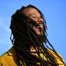 Ziggy Marley "Brightside" LP
