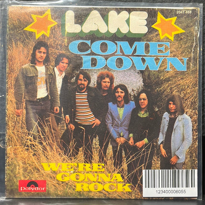 USED VINYL: Lake “Come Down / We're Gonna Rock” 7"