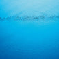Caribou/Suddenly [LP]