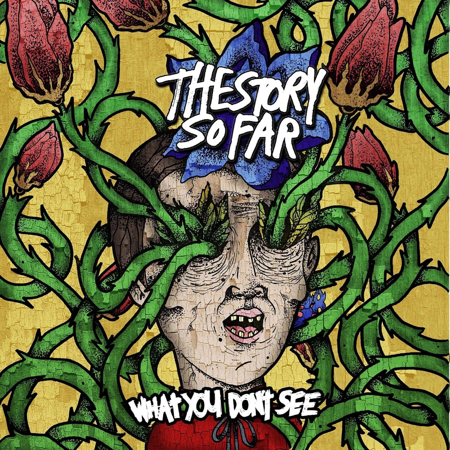 The Story So Far/What You Don't See (Royal Blue With White Splatter Vinyl) [LP]