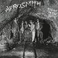 Aerosmith/Night In The Ruts [LP]