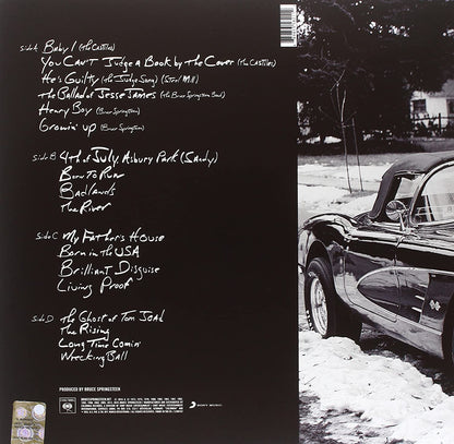 Springsteen, Bruce/Chapter and Verse [LP]