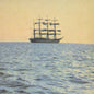 Smog/The Doctor Came At Dawn [LP]