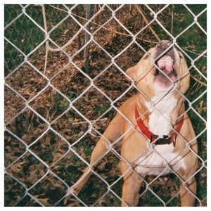 Knocked Loose/Pop Culture (Lavender Eco-Mix) [LP]