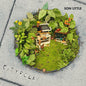 Son Little "Cityfolk" CD