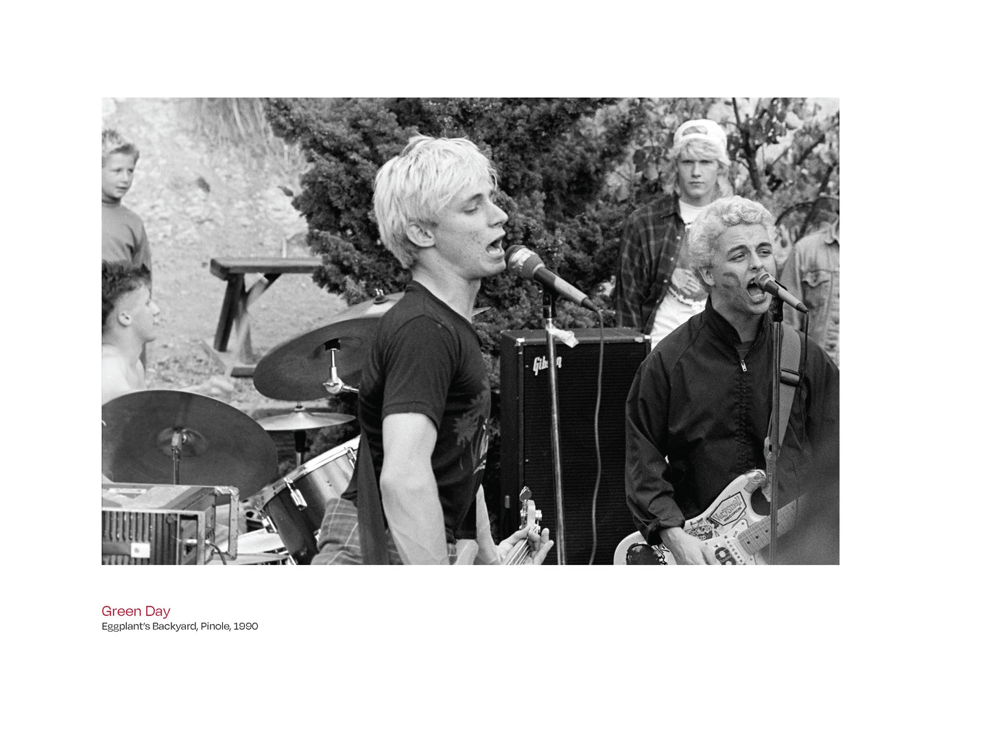 Hail Murray!: The Punk Photography of Murray Bowles, 1982-1995 Book