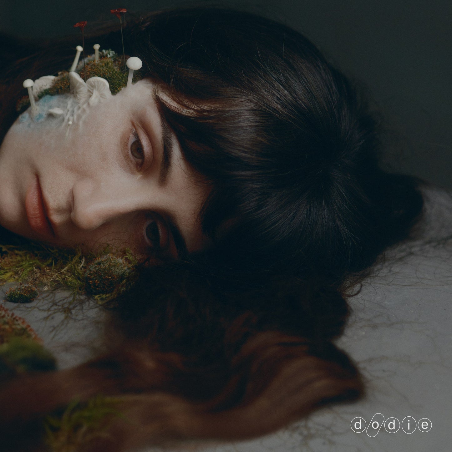 Dodie "Not For Lack Of Trying" LP