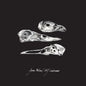 Jason Molina & MJ Lenderman "The Last Three Human Words (Demo) / Just Be Simple" 7"