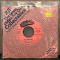 Used Vinyl: Turtles "You Showed Me / Buzzsaw" 7" (80's pressing)
