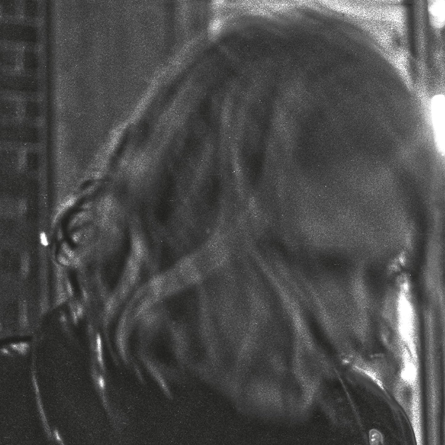 Segall, Ty/Ty Segall [LP]