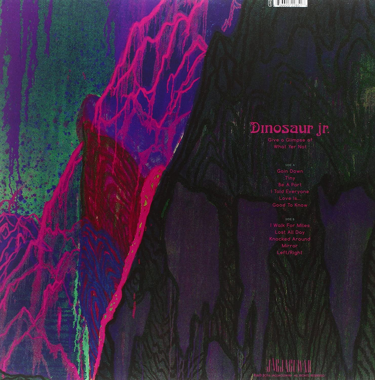 Dinosaur Jr./Give A Glimpse Of What Yer Not [LP]