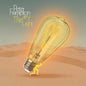 Peter Frampton - Carry the Light (Limited Edition) - LP