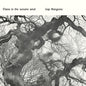 Gap Mangione "Diana In The Autumn Wind" LP