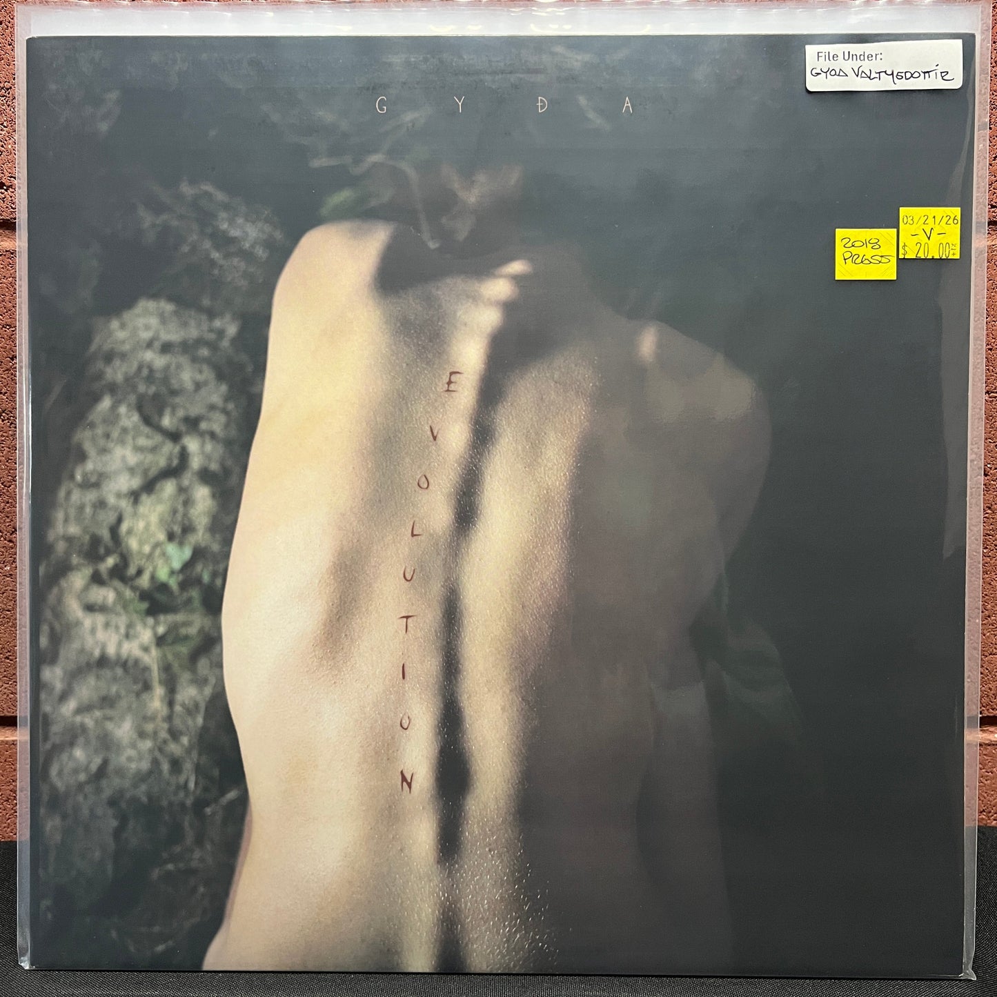 Used Vinyl: Gyoa Valtysdottir ‎"Evolution" LP (2018 Press)