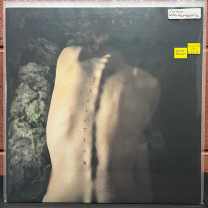 Used Vinyl: Gyoa Valtysdottir ‎"Evolution" LP (2018 Press)
